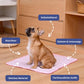 🌞Summer Hot Sale 49% OFF🧊Premium Cooling Mat For Pet