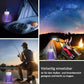 🔥Sommer Aktion 49% RABATT  🦟USB / Wiederaufladbare Moskito & Fliegenfalle Lampe