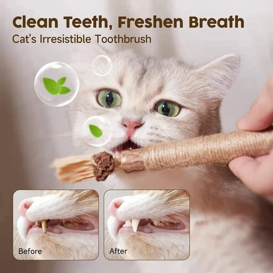 🐶🐱 Natural Silvervine Stick Cat Chew Toy
