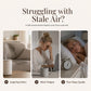 🎁Gift‑Ready Aromatherapy Set - 62% OFF⚡Aroma Diffuser + 12‑Pack Fragrance Essential Oils Kit