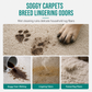 🎁BUY 2 GET 1 FREE · BUY 3 GET 2 FREE🎁| Pet Stains & Odours GONE in Seconds!🐾 Waterless Sofa & Carpet Cleaner 🧽 ➡️ Only £9.99!!!